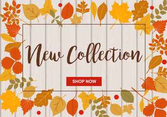 New collection vector illustration with autumn leaves on on colorful background