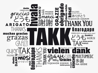 Wall Mural - Takk (Thank You in Icelandic) Word Cloud background, all languages, multilingual for education or thanksgiving day