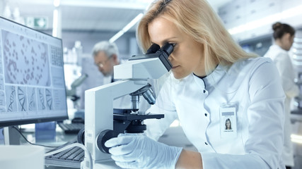 Wall Mural - Female Research Scientist Looks at Biological Samples Under Microscope. She and Her Colleagues Work in a Big Modern Laboratory/ Medical Centre.