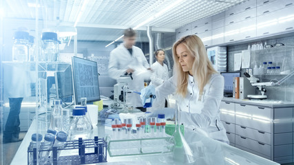 Wall Mural - team of research scientists working with personal computer, analysing test trial new generation drug