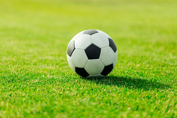  close-up view of leather soccer ball on green grass