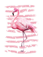 Tropical Summer Geometric Poster Design With Grunge Textures. Watercolor Pink Bird - Flamingo. Exotic Abstract Background, Vintage. Hand Painted Illustration. Doodles Retro