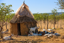 Traditional House In Kaokoland Region - Namibia