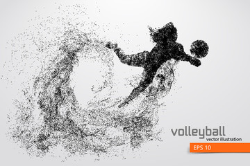 Wall Mural - Silhouette of volleyball player.