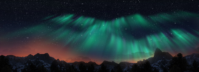Wall Mural - colorful northern lights over starry night sky