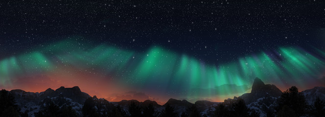 Wall Mural - colorful northern lights over starry night sky