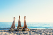 © alphaspirit - Group of happy friends having fun at ocean beach with legs up