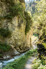 Wall Mural - Felsen und Fluss