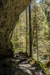 Wall Mural - Felsen und Bäume