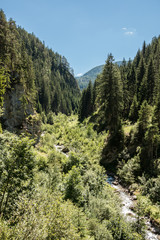 Wall Mural - Berge und Bäume