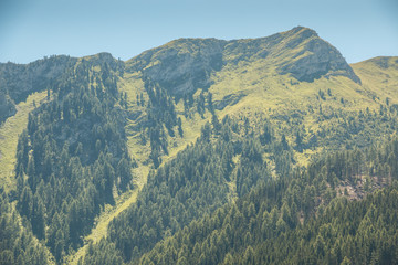 Wall Mural - Berge und Wälder