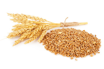 Poster - Ears of wheat and wheat grains