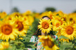 © ViDi Studio - Brunette girl in a field of sunflowers