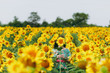 © ViDi Studio - Brunette girl in a field of sunflowers