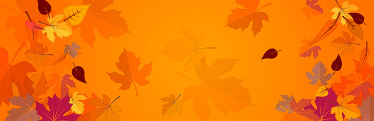 Wall Mural - Banner on the autumn theme