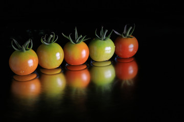 Wall Mural - Japanese cherry tomato on black water