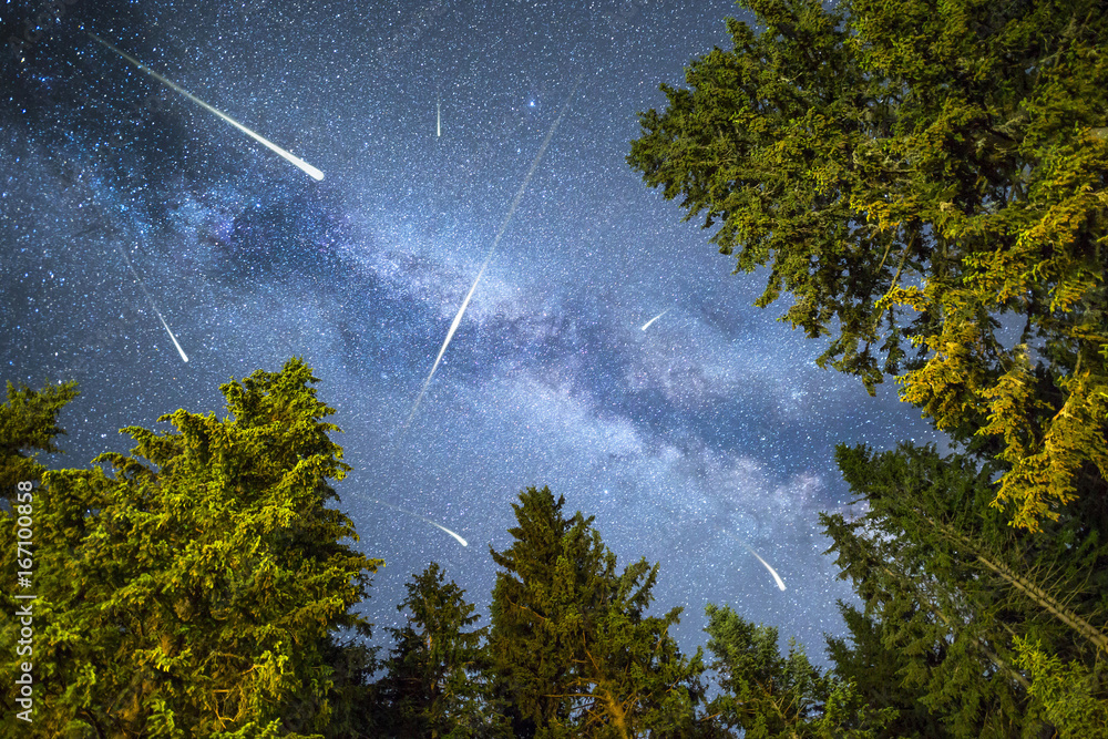 Meteor Tree Pine trees silhouette Milky Way meteor shower Stock Photo | Adobe Stock