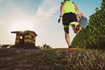 Wall Mural - man trail running in the vineyards at the sunset