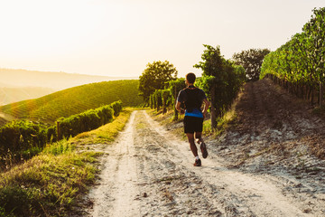 Wall Mural - man trail running in the vineyards at the sunset