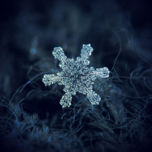 Real Snowflake Macro Photo: Large Snow Crystal With Six Simple, Straight Arms And Large Hexagonal Center, Completely Covered By Frozen Bubbles Of Rime. Snowflake Glowing On Dark Blue Background.