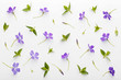 Floral pattern made of purple vinca major flowers and green leaves on white background. Flat lay, top view.