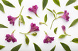 Floral pattern made of magenta alstroemerias and green leaves on white background. Flat lay, top view.