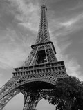 Fototapeta Miasta - Tour Eiffel