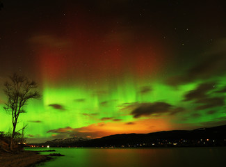 auroras