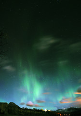 Wall Mural - auroras