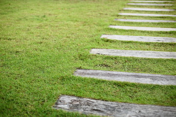 Wall Mural - concrete pathway pavement step on green grass front yard garden