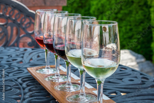 Fotografie, Obraz Wine tasting from sample glasses on a summer day