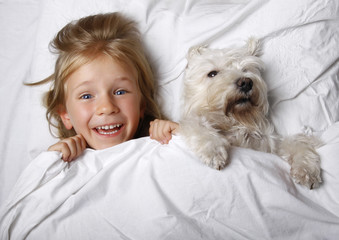 beautiful blonde little girl laughing and lying with white schnauzer puppy dog on white bed. Friendship concept.