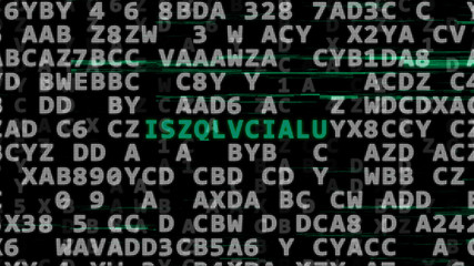 Wall Mural - abstract data code