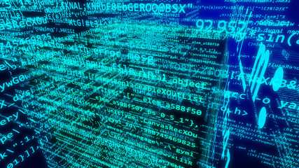 Wall Mural - computer source code programmer script
