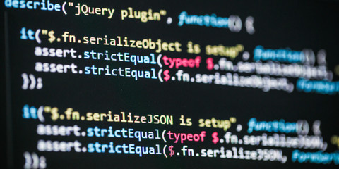 Wall Mural - software developer programming code