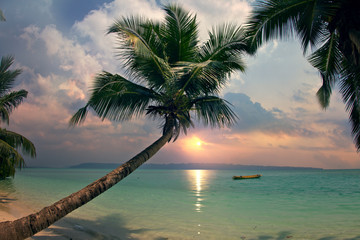 Wall Mural - sunset on beautiful tropical beach with palms and boat on water