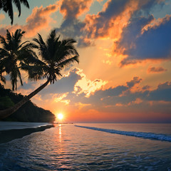 Wall Mural - tropical beach with palm trees at sunset time and reflections on water surface.