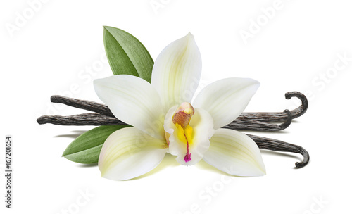 Cuadros en Lienzo Vanilla flower, pods, leaves isolated on white