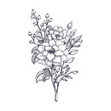 Fototapeta Kwiaty - Hand drawn flower bouquet in sketch style. Vector plants