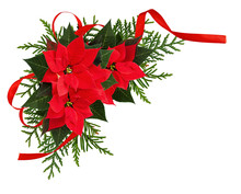 Christmas Red Poinsettia Flowers Corner Arrangement With Ribbon Bow
