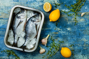 Wall Mural - Dorado in baking form ready to cooking, preparation on rustic blue background with fresh vegetables, herbs and spices. Top view, overhead