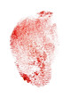Red fingerprint on white background, macro