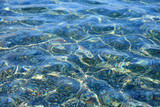 Fototapeta Morze - Kolorowe kamienie i fale w przeźroczystej wodzie morza, Śródziemnego.