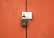 a metal padlock protecting locking two wooden doors outside