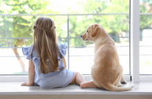 Cute Child With Labrador Retriever On Window Sill At Home
