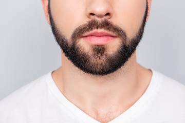 Close up cropped photo of a styling of a brunet`s guy beard, isolated on pure light blue background. So trendy and stylish! Advertising and barber shop concept