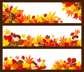 Sticker - Autumn leaf banner border for fall season design