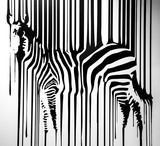 Fototapeta Fototapeta z zebrą - zebra