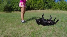 Woman Playing With Black Dog In The Park.