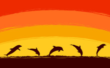 Silhouette Jumping Dolphin In Ocean With Sunset Sky Background